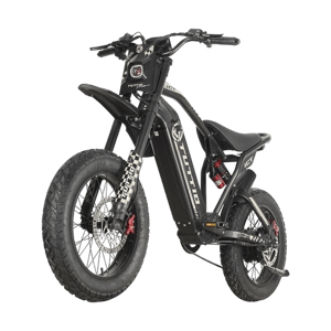 ICT Electric Bike
