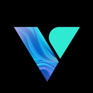 Vissles