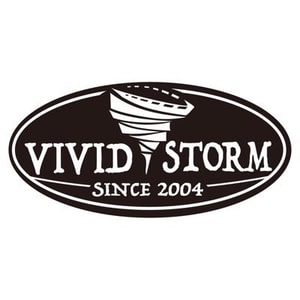 VIVIDSTORM