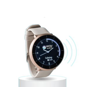 WAVwatch 2.2
