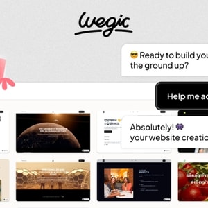 Wegic