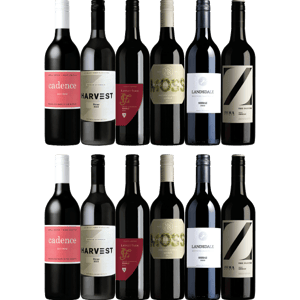 Wine Selectors Everyday Shiraz 12-Pack