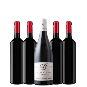 Wine Sommelier ブルゴーニュ村名&幻の赤入り &ldquo;夏&rdquo;ボーナス&rdquo;福袋 platinum 赤 送料無料