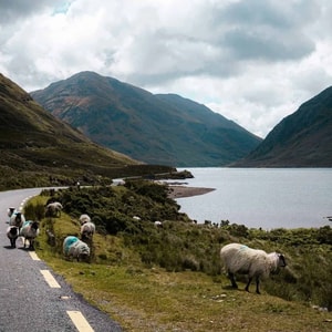 Rolling Through Ireland: A Journey Across Two Lands 