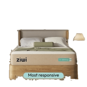 Ziwi ZiPP Zenergy