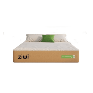 Ziwi ZiPP Memory