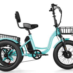 Mooncool TK1 Fat Tire Electric Trike