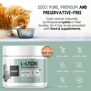 L-Lysine Powder for Cats