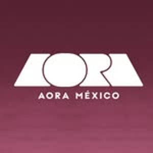 AORA Makeup
