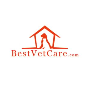 BestVetCare
