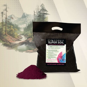 AutoFlower Super Soil 6lbs