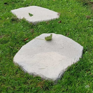 Random Stepping Stones Mature Cotswold