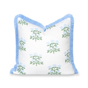 Barbelle, Indoor/Outdoor Baby Blue Green Throw Pillow Cover, with Fringe, 20"x20"
