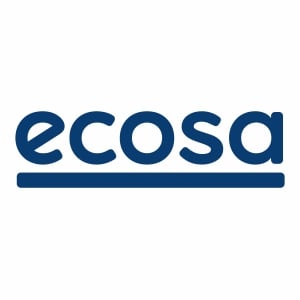 Ecosa Pillow