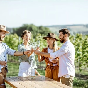 Exclusive Muir Woods, Napa & Sonoma Valley Wine Tour