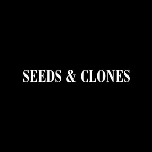 Seeds & Clones