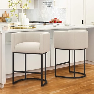 Jessica Modern Barstool with Arms
