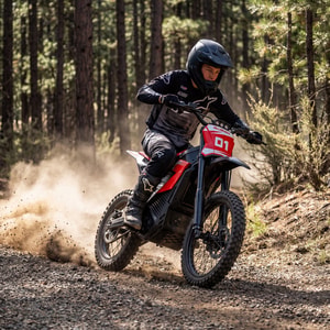 MEGAWHEELS D2 Electric Dirt Bike