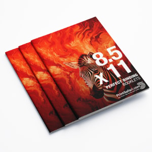Custom Booklet Printing