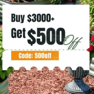 Promo response image preview
