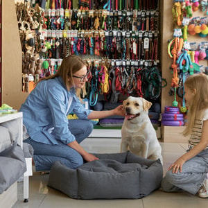 Thriving Online Pet Supplies Store Australia