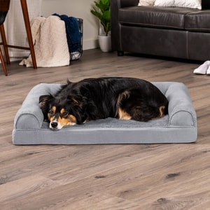 Best Dog Bed Brands