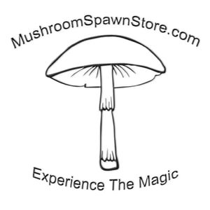 Mushroom Spawn Store