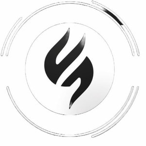 The Vocal Market