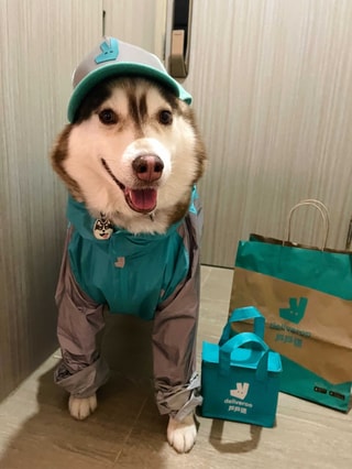 Deliveroo - Food Delivery Made Simple