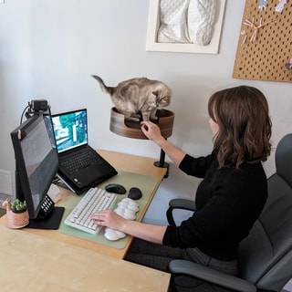 Desk Nest - Elevated Cat Bed Solutions