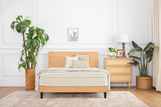 Eco Terra Beds - Natural Comfort and Sustainable Sleep