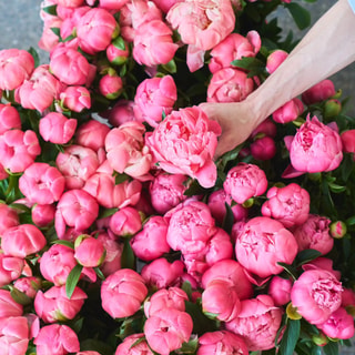 Farmgirl Flowers - Fresh Artful Bouquets Nationwide