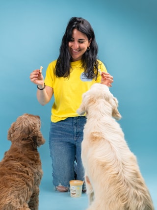 Hygge Dog - Comfort E Qualit&agrave; Per Cani