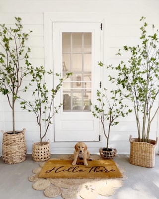 Nearly Natural - Finest Artificial Plants!