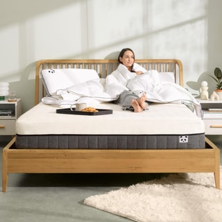 Panda London - Sustainable Sleep Solutions