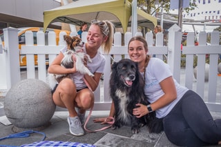 PetsOnMe - Smart Pet Insurance Choices
