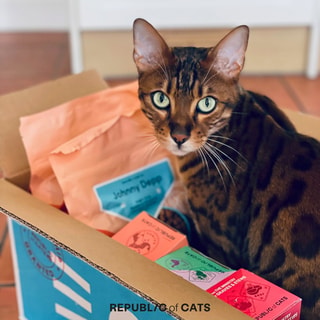 Republic of Cats - Tailored Cat Nutrition Delivered