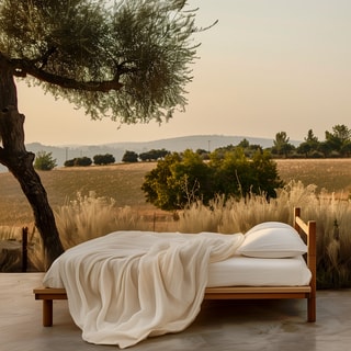 Sleep & Beyond - Organic Comfort for Restful Nights