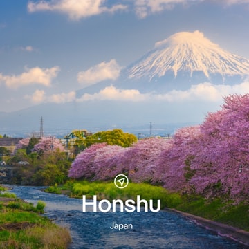 Alternative Airlines