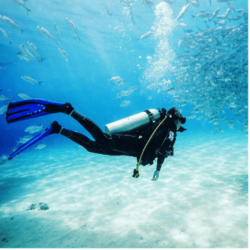 DIP 'N DIVE