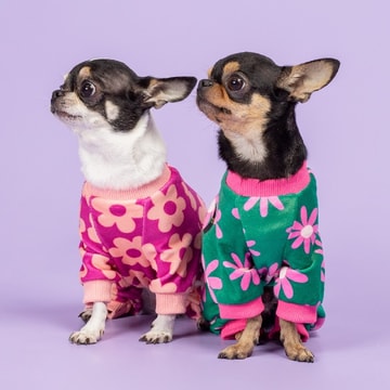 Fitwarm
