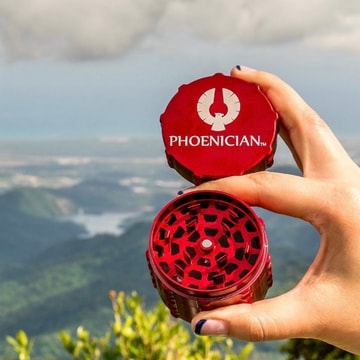 Phoenician Grinders