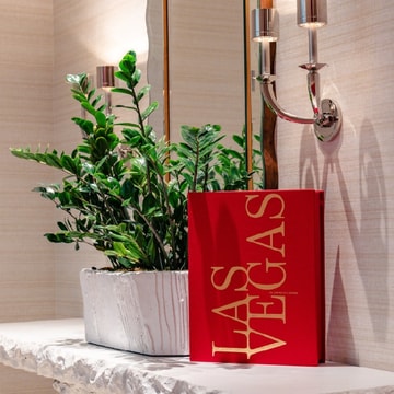 The Las Vegas Book
