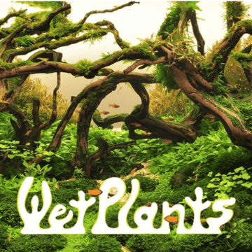 WetPlants