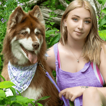 Aria the Fox