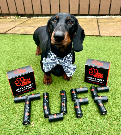 A Closer Look at Tuff Pets Deals in July 2026: 5 Verified Sitewide Discount Codes, Eligibility Notes, and Sustainable Pet Care Savings