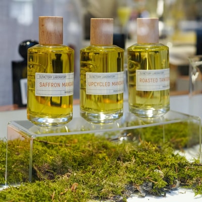 Uncovered 3.3/5 Scores at Beauty The Shop in 2026: Navigating Authenticity and Customer Feedback Amid Mixed Service Experiences at a Leading Niche Perfume Retailer