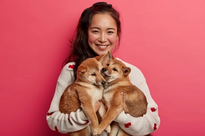 Does Knose in 2026 Meet Expectations of Aussie Pet Owners Seeking Flexible Coverage and Strong Service With 4.2/5 Rating?