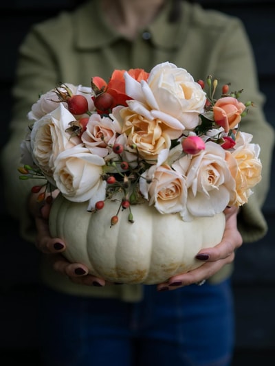 A Review of Harkness Roses Promotions This July 2026: Verified Savings on Bare Root and Potted Roses with Eligibility and Checkout Notes
