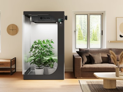 Stop Overpaying at Hey abby This July 2026: A Small Checkout Decision Can Unlock $100 in Savings on Indoor Gardening Systems